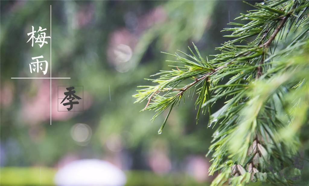 雨季到來(lái)，涂料施工需注意哪些問(wèn)題